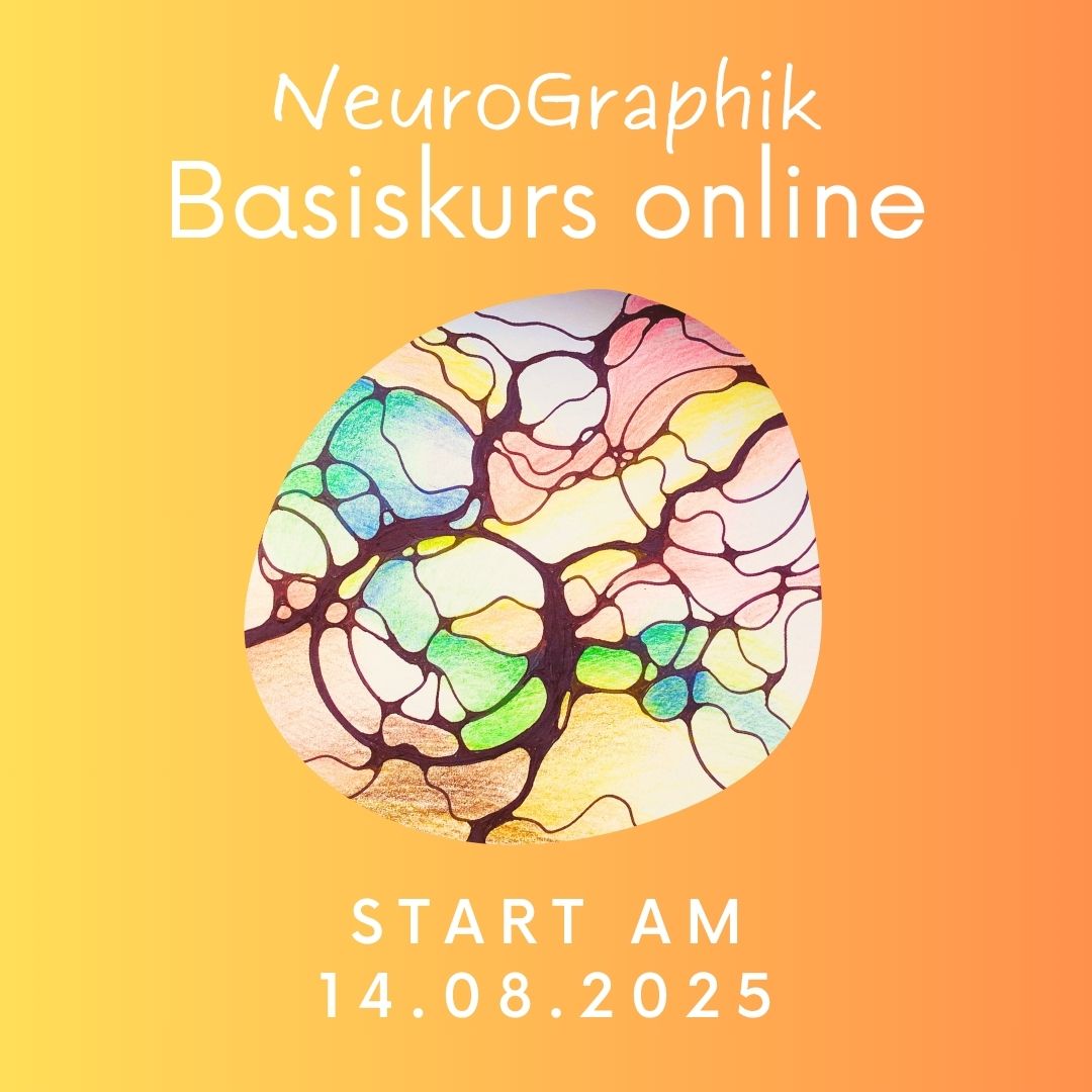 basiskurs august